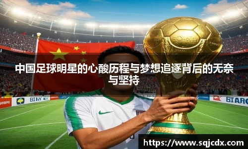中国足球明星的心酸历程与梦想追逐背后的无奈与坚持
