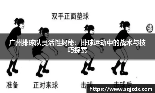 广州排球队灵活性揭秘：排球运动中的战术与技巧探索